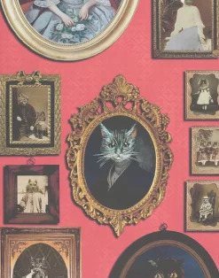 A Cavalcade of Cats, Red