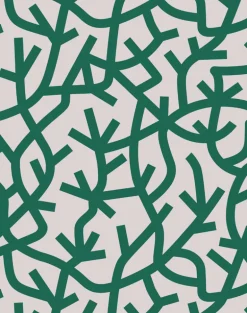 A Forest, Douglas Fir