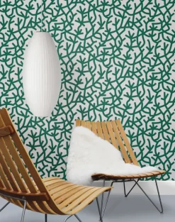 A Forest, Douglas Fir