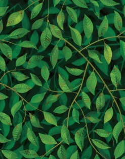 A Million Leaves, Dark