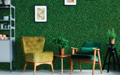 A Million Leaves, Dark