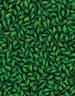 A Million Leaves, Dark Supersized