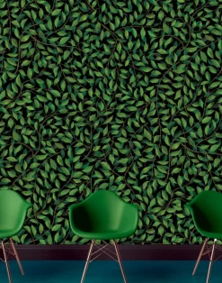 A Million Leaves, Dark Supersized