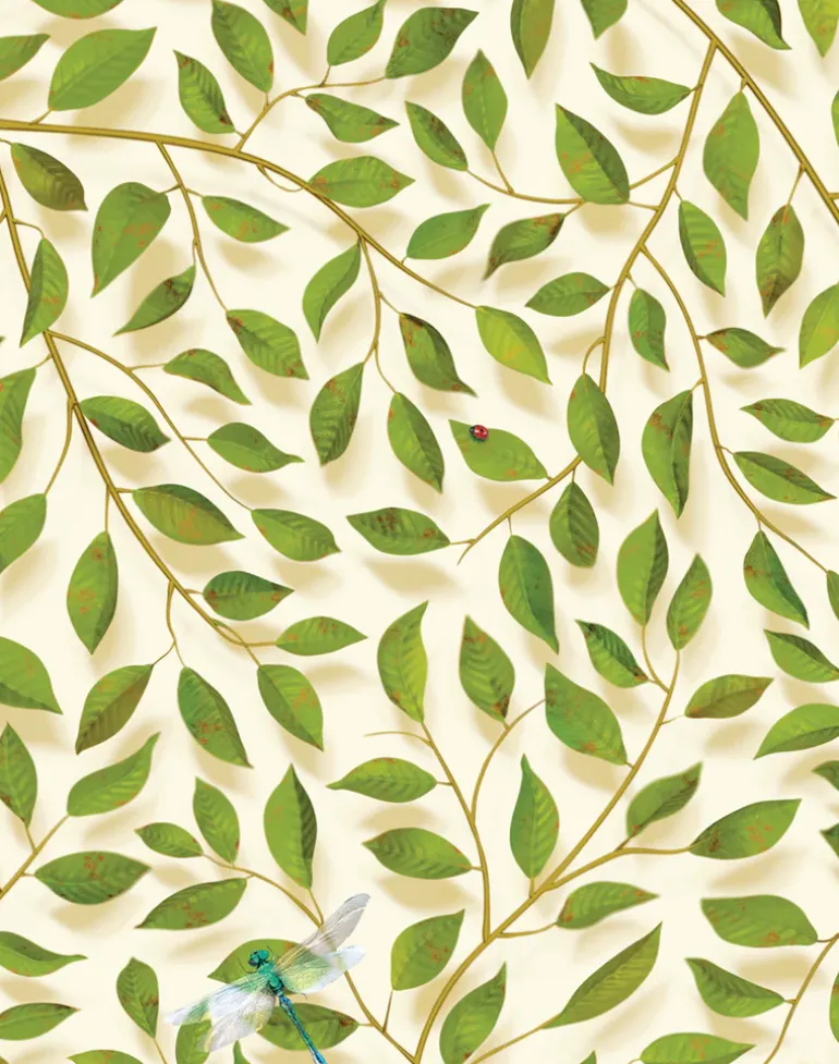 A thousand Leaves, Light