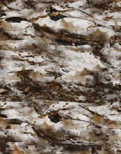 Abbey Meets Acacia 214