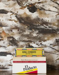 Abbey Meets Acacia 214