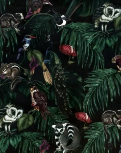 Amazonia Dark Wallpaper