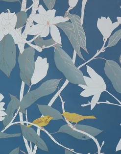 Analisse Magnolias, Past Winter