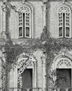 ANIMAL ARCHITECTURE ARCHITECTURE GREY