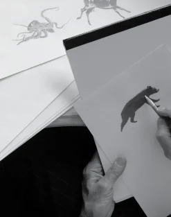 Animals, Charcoal on Bone