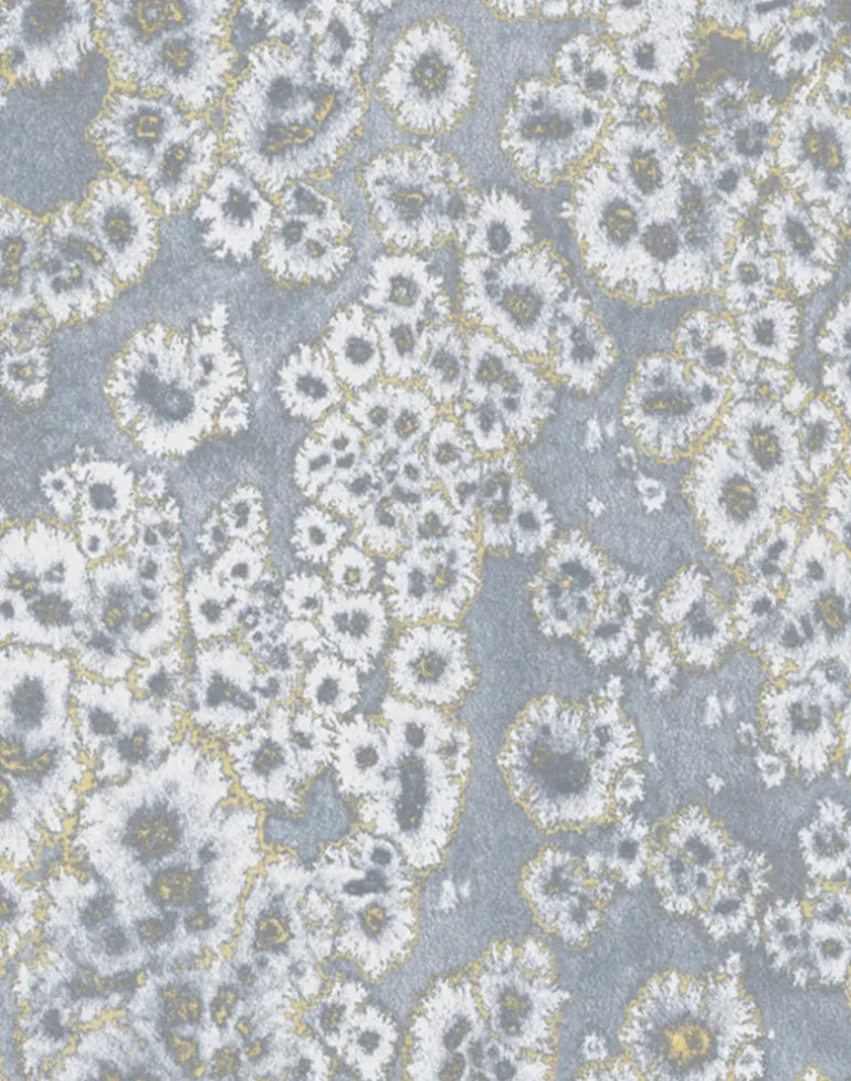 Archipelago Gold, Fog