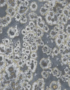 Archipelago Gold, Lagoon