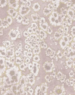 Archipelago, Seashell