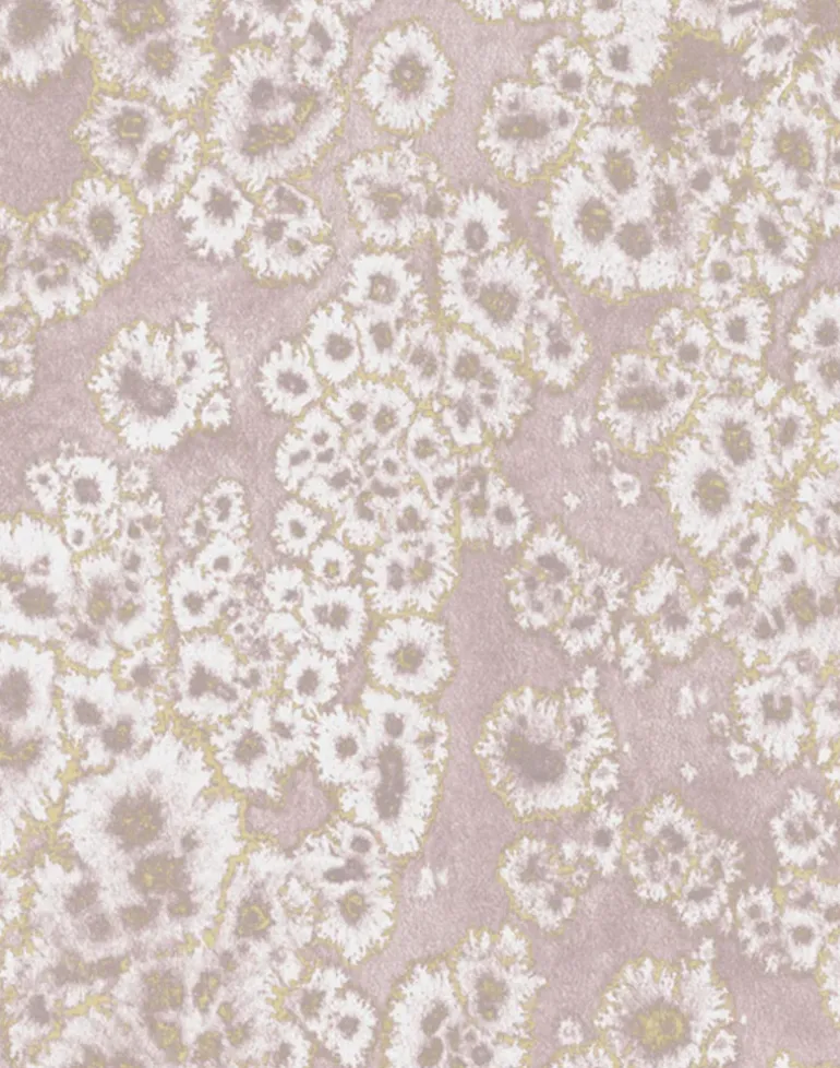 Archipelago, Seashell