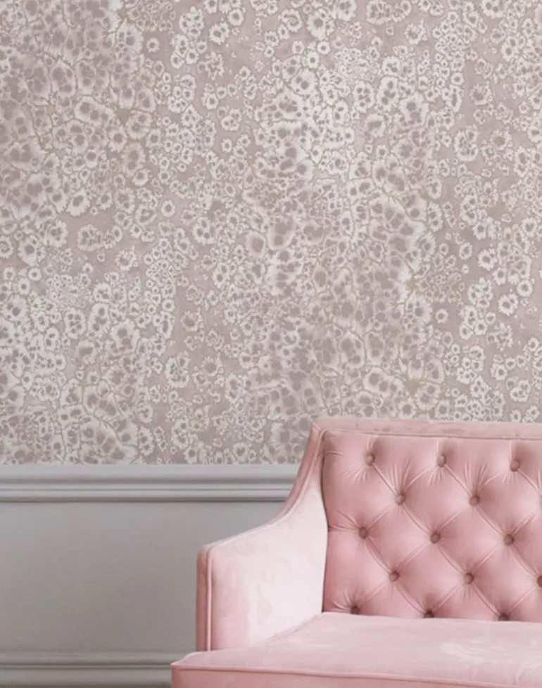 Archipelago, Seashell