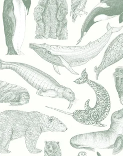 Arctic Animals MAC054