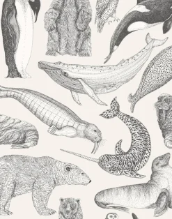 Arctic Animals MAC050