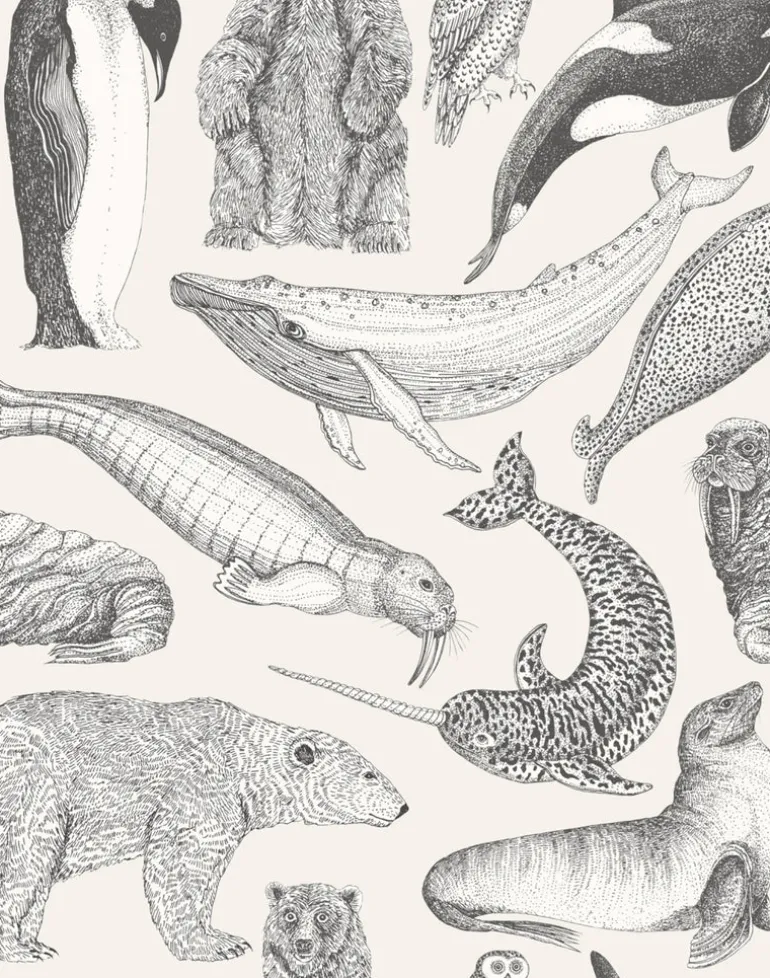 Arctic Animals MAC050