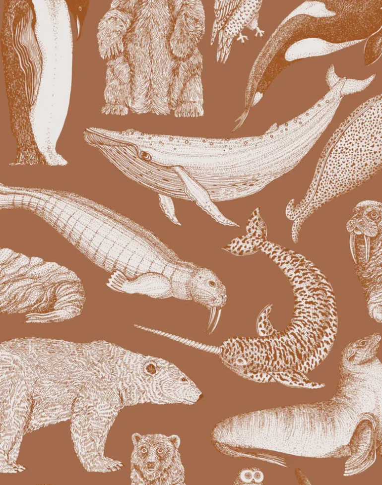 Arctic Animals MAC052