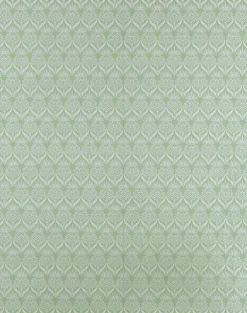 Artichoke Thistle, Spring Green