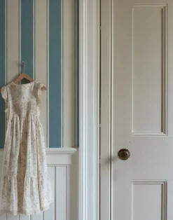 Balancing Act, Blue Stripe