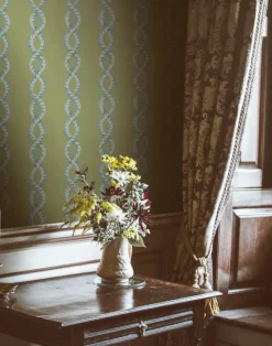 Baroque Maximal, Terrarium WPLN0110