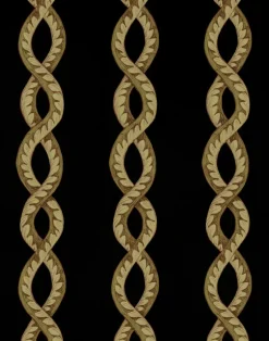 Baroque Maximal, Void WPLN0111