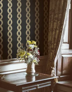 Baroque Maximal, Void WPLN0111