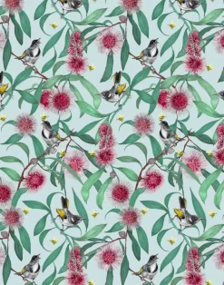 Bees in the Hakea, Baby Blue