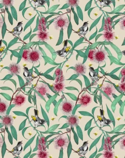 Bees in the Hakea, Cream