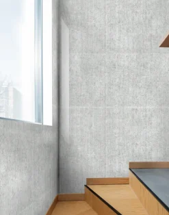 Birch, Grey Pre-Pasted