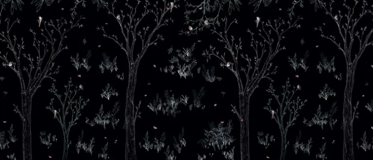 Black Forest TCKB013