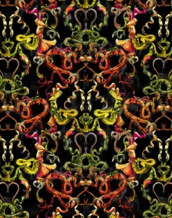 Bows and Toes, THE WAR OF EVERMORE