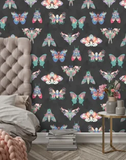 BUTTERFLY EFFECT NOIR