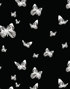 Butterfly Valley, Black & White