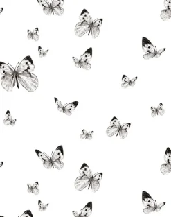 Butterfly Valley, White & Black