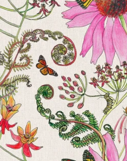 Carolina Monarch, Natural