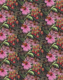 Carolina Monarch, Prunus