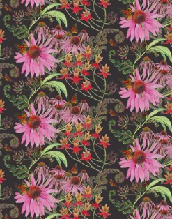 Carolina Monarch, Prunus