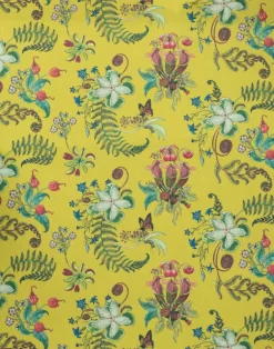 Carolina Posies, Cornbread