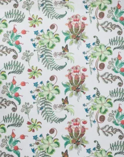 Carolina Posies, Cream