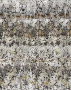 Catalina, Black Pre-Pasted