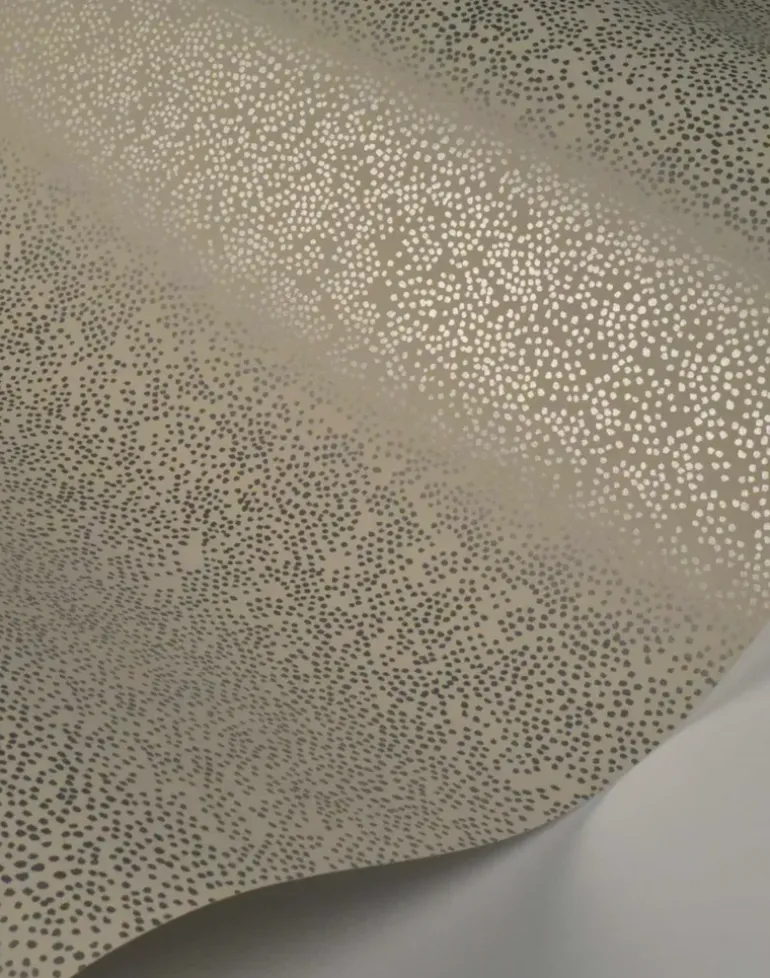 Champagne Dots, Metallic Silver & Linen RI5116