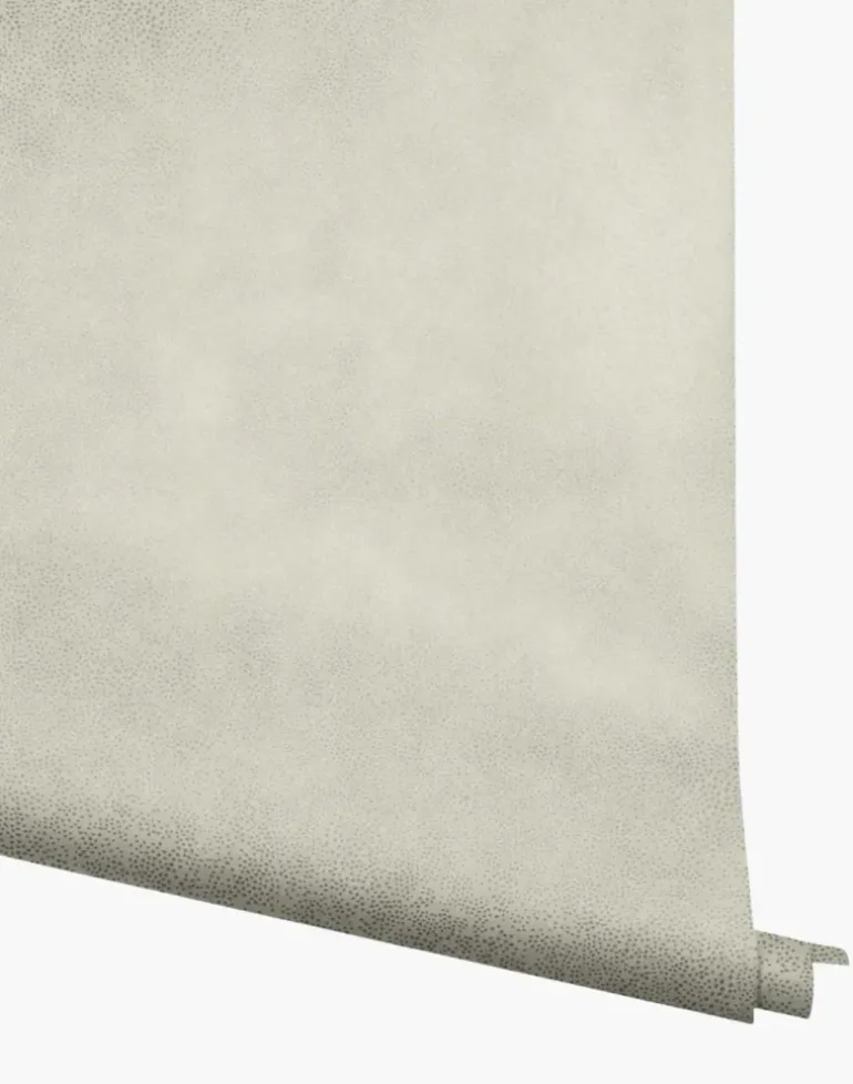 Champagne Dots, Metallic Silver & Linen RI5116