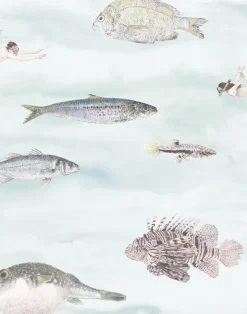 Classic Fish, Blue-Green