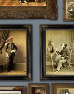 Colnel Fox (and friends), Blue