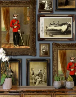 Colnel Fox (and friends), Blue