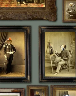 Colnel Fox (and friends), Green