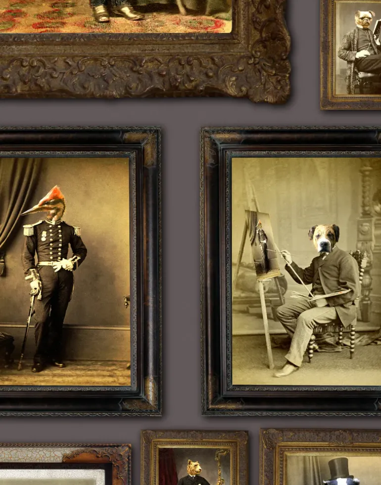 Colnel Fox (and friends), Mauve