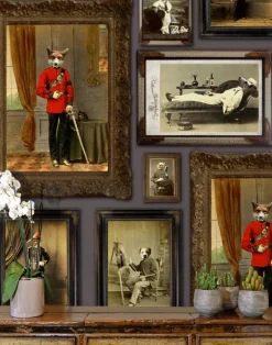 Colnel Fox (and friends), Mauve